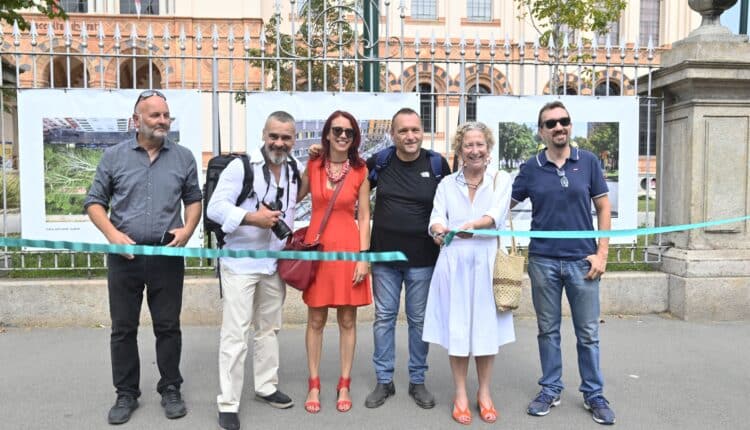"Milano 25 luglio 2023: la fragilità degli alberi". La mostra fotografica per ricordare il nubifragio