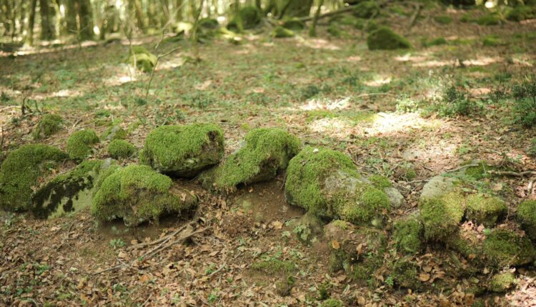 Aspromonte, nuovi ritrovamenti lungo antiche mura romane (2)