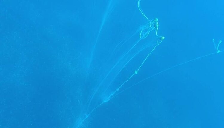 Cagliari: "L'ecosistema marino costituisce per Cagliari una delle risorse ambientali e strategiche più cruciali", Fishing for the Planet, il progetto per salvare il Golfo di Cagliari dalle reti fantasma.