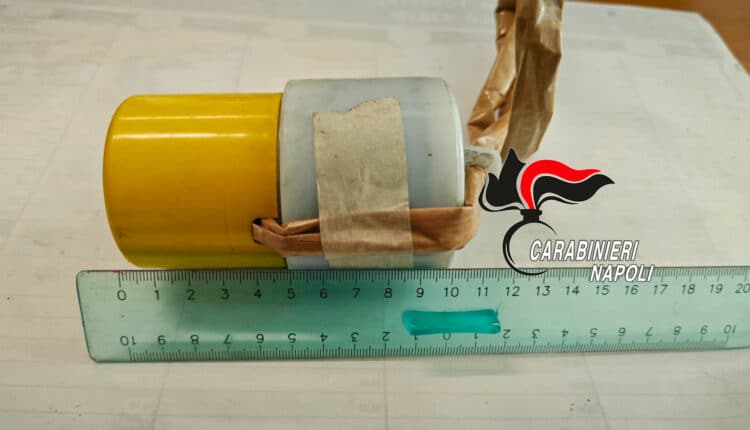 Castellammare di Stabia: controlli dei Carabinieri, bombe, droga e una fattoria con animali protetti.