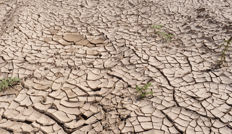 Clima, Copernicus È stato il giugno più caldo di sempre