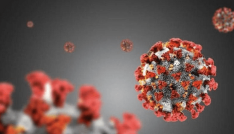 Covid, aumentano i casi in Italia 66% nell'ultima settimana