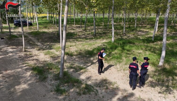 Alessandria e Asti: ettari abusivamente occupati vicino ai fiumi. Sanzioni superiori a 27.000 Euro 11