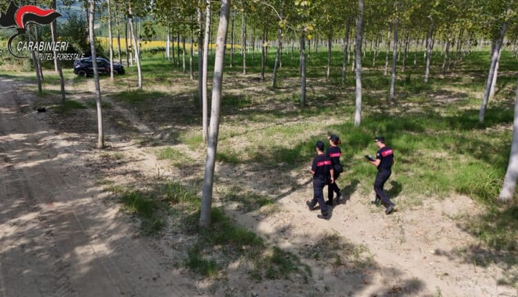 Alessandria e Asti: ettari abusivamente occupati vicino ai fiumi. Sanzioni superiori a 27.000 Euro 12