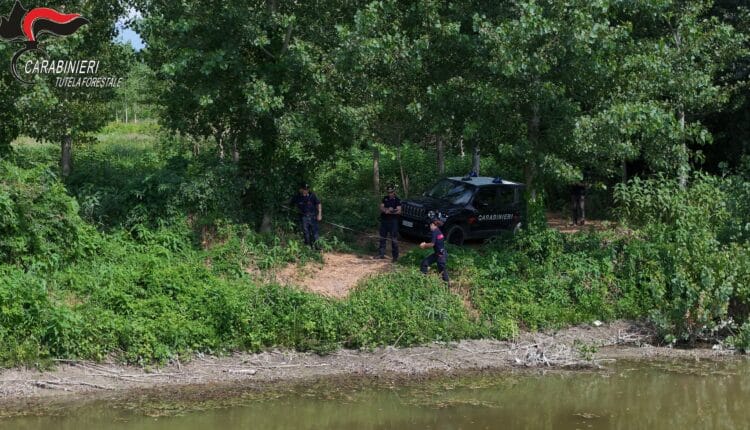 Alessandria e Asti: ettari abusivamente occupati vicino ai fiumi. Sanzioni superiori a 27.000 Euro 14