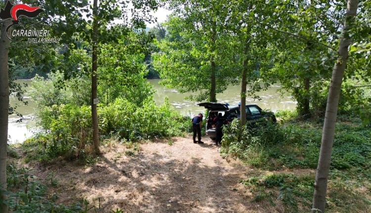 Alessandria e Asti: ettari abusivamente occupati vicino ai fiumi. Sanzioni superiori a 27.000 Euro 15