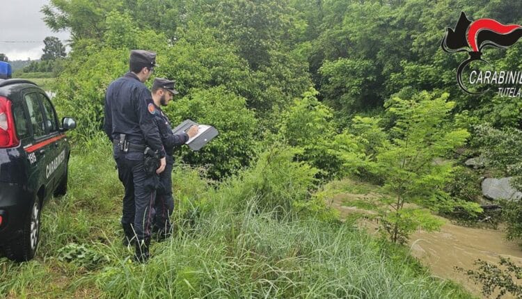 Alessandria e Asti: ettari abusivamente occupati vicino ai fiumi. Sanzioni superiori a 27.000 Euro 2