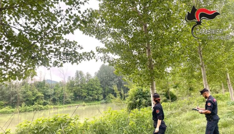 Alessandria e Asti: ettari abusivamente occupati vicino ai fiumi. Sanzioni superiori a 27.000 Euro 3