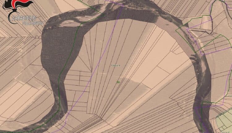 Alessandria e Asti: ettari abusivamente occupati vicino ai fiumi. Sanzioni superiori a 27.000 Euro 5