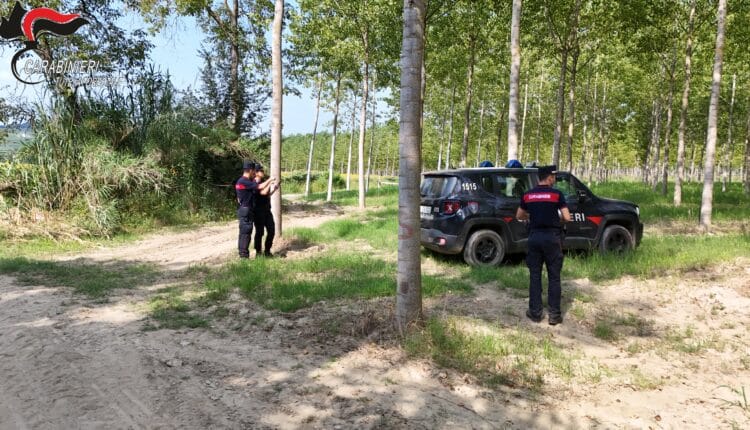 Alessandria e Asti: ettari abusivamente occupati vicino ai fiumi. Sanzioni superiori a 27.000 Euro 7