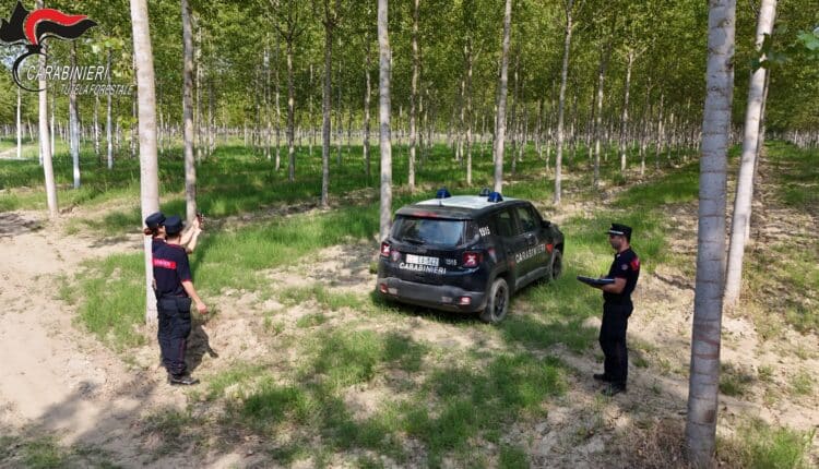 Alessandria e Asti: ettari abusivamente occupati vicino ai fiumi. Sanzioni superiori a 27.000 Euro 8