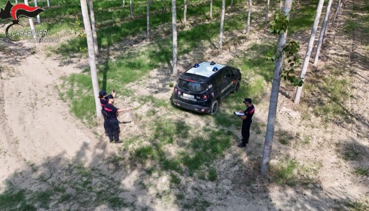 Alessandria e Asti: ettari abusivamente occupati vicino ai fiumi. Sanzioni superiori a 27.000 Euro 9