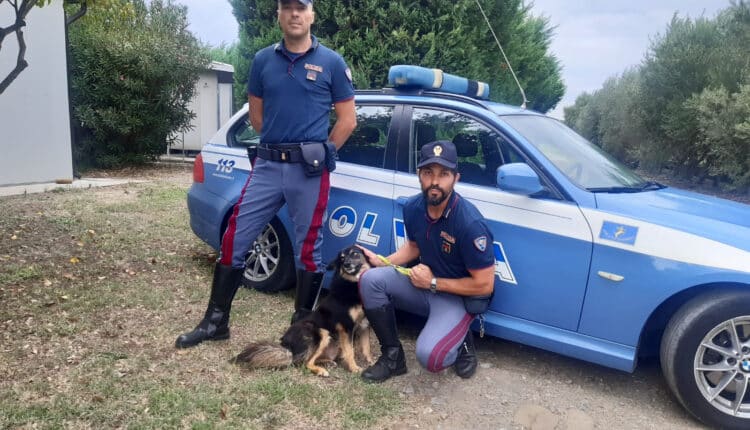 Roma, la Polizia di Stato lancia una campagna contro l'abbandono degli animali