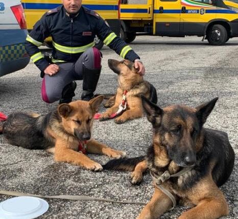 Roma, la Polizia di Stato lancia una campagna contro l'abbandono degli animali