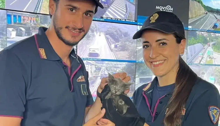 Genova: la Polizia Stradale salva un gattino nell'Area di Servizio Sant'Ilario sull'autostrada A/12.