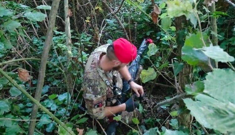 Gragnano: controlli dei Carabinieri, sequestrati un fucile e marijuana nascosti nella vegetazione.