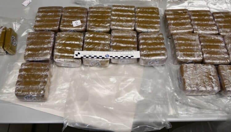 Genova: grazie al cane antidroga Leone sono stati trovati 11kg di hashish. Arrestato 47enne