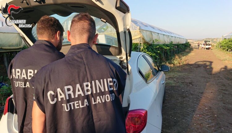 Siracusa, controlli in agricoltura sul caporalato: individuate due aziende agricole irregolari