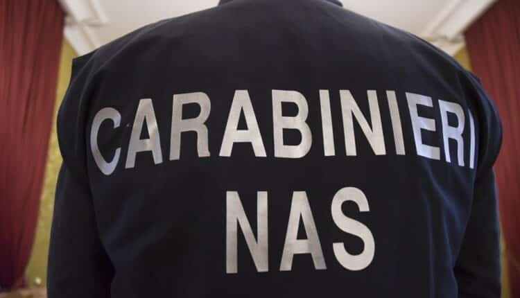 Udine, picchiava i bambini del nido: arrestata una maestra