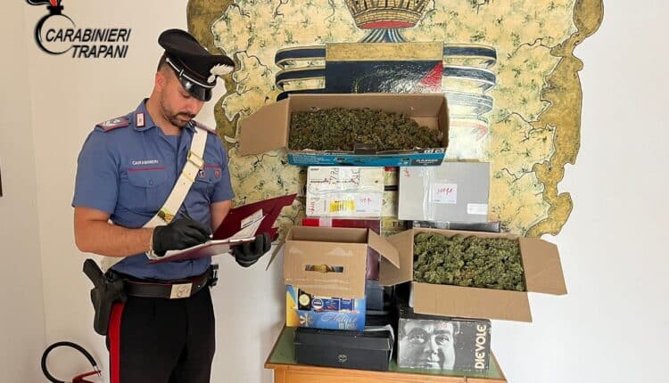 Petrosino: piantagione in una serra, arrestato 50enne marsalese.