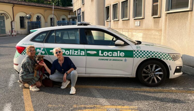 Brescia: ritrovato il cucciolo che era stato rubato al canile rifugio dell'Associazione "SOS Randagi"