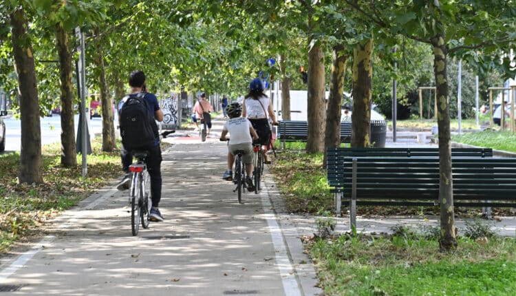 Milano: 2,5 Km di percorsi ciclabili su Corso Sempione, l'assessora Censi: "Intervento che rappresenta il modello di città che vogliamo"