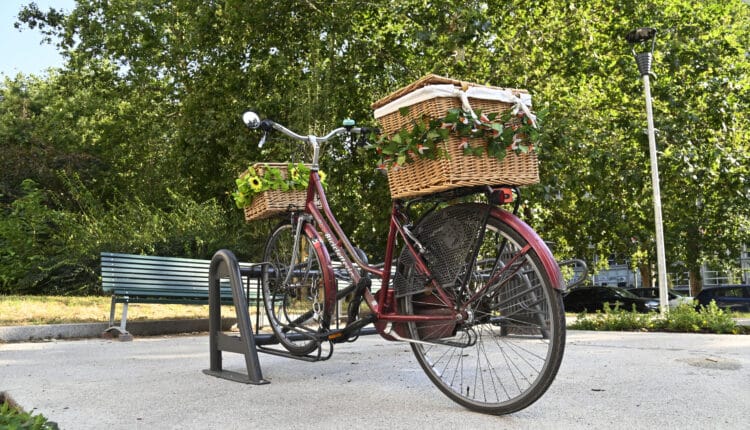 Milano: 2,5 Km di percorsi ciclabili su Corso Sempione, l'assessora Censi: "Intervento che rappresenta il modello di città che vogliamo" 7