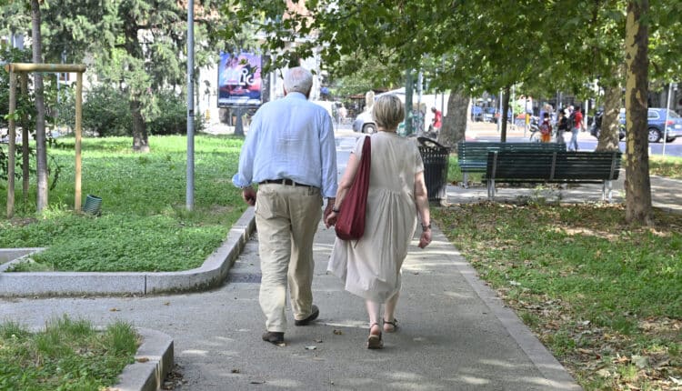 Milano: 2,5 Km di percorsi ciclabili su Corso Sempione, l'assessora Censi: "Intervento che rappresenta il modello di città che vogliamo" 4