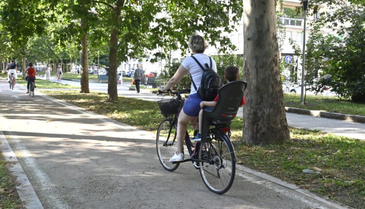 Milano: 2,5 Km di percorsi ciclabili su Corso Sempione, l'assessora Censi: "Intervento che rappresenta il modello di città che vogliamo" 2