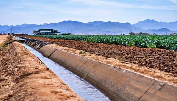 Sicilia: crisi idrica, Schifani: «Trovato un accordo per l'irrigazione nelle zone più in difficoltà dell'Agrigentino».