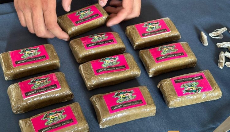 Torre del Greco, trovato oltre un chilo di hashish in una pescheria: arrestati due fratelli