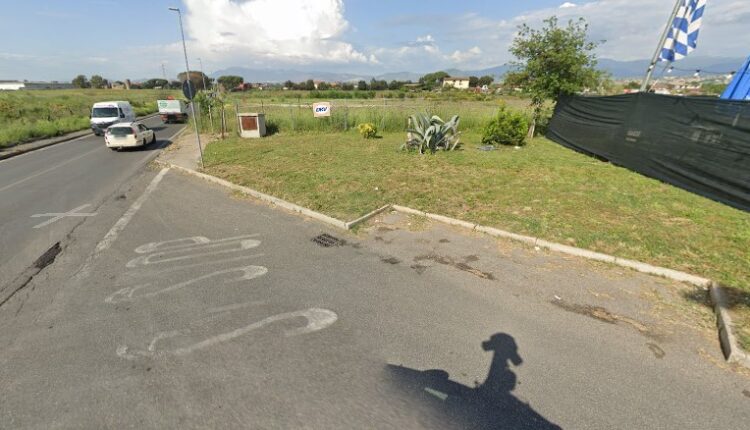 Orrore e sdegno a Roma: uomo taglia la testa al cane. "Basta perdere tempo, pene dure e certe"