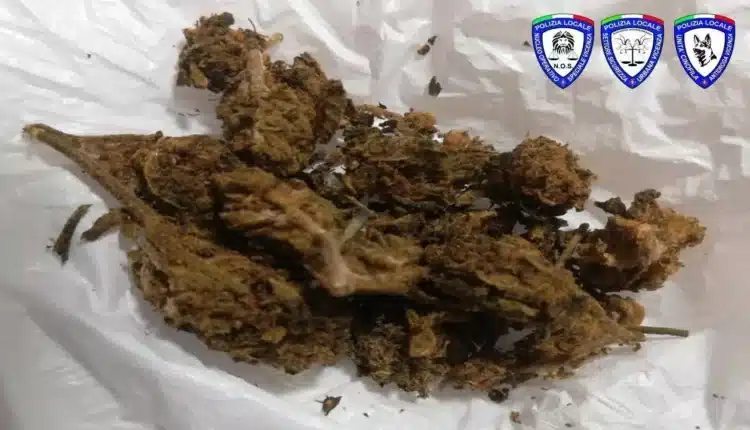 Vicenza: spaccio e degrado urbano. 8 persone segnalate alla Prefettura.