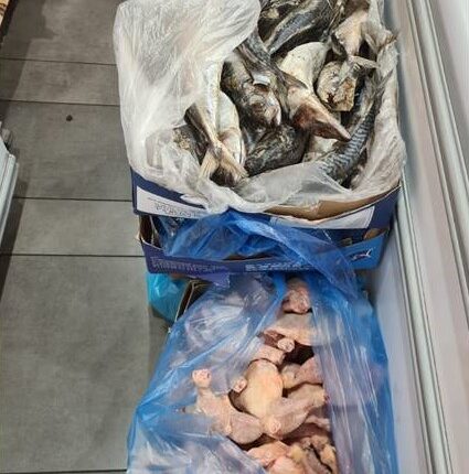 Taranto: sequestrati 162 Kg di prodotti alimentari. Sanzioni di quasi 4mila Euro 3