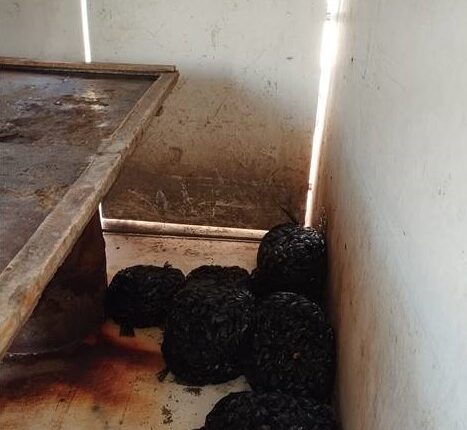 Taranto: grazie al progetto "estate Sicura 2024" continuano i controlli ai prodotti ittici. Sequestrati 300kg di cozze nere e 100kg di mitili 2