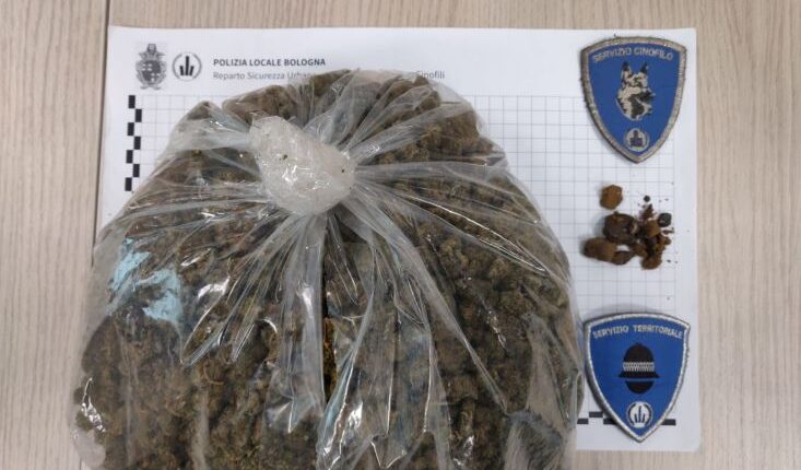 Bologna, il cane Poliziotto Ares trova un chilo di stupefacente sotto un cassonetto