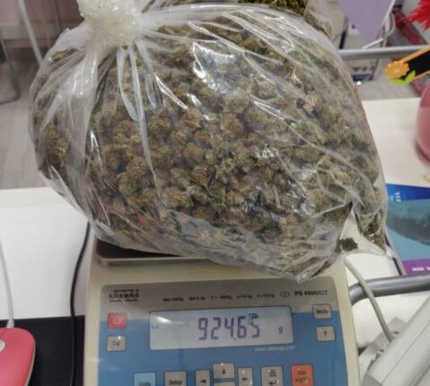 Bologna, il cane Poliziotto Ares trova un chilo di stupefacente sotto un cassonetto