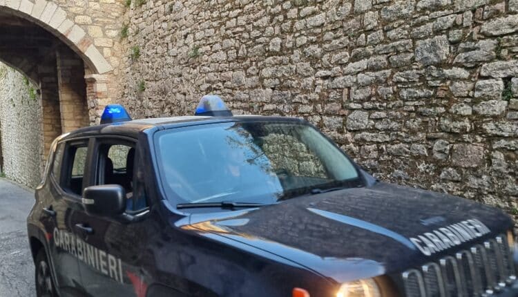 Città della Pieve: una 60enne si dimentica il cagnolino chiuso nell'auto parcheggiata al sole. Denunciata per il reato di maltrattamento di animali