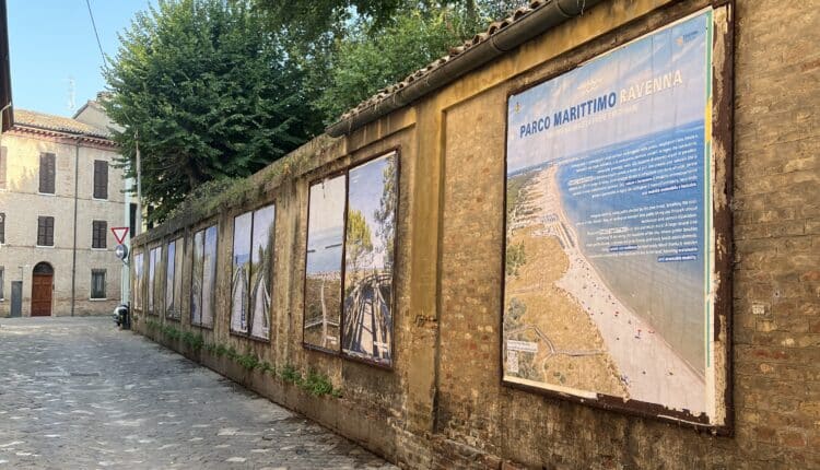 Ravenna: online il nuovo video che racconta le bellezze naturali del Parco Marittimo quelle e storiche della città 3