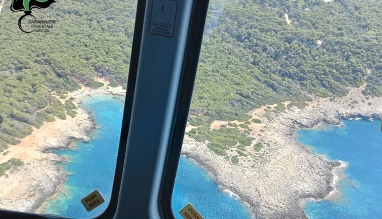 Lecce e Brindisi: l'Aeronautica Militare ha fornito ai Carabinieri sei nuovi esemplari di elicotteri grazie ai quali è possibile cogliere in flagranza di reato e arrestare gli incendiari 6