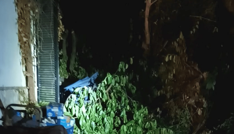 Frosinone: si barrica in casa minacciando il suicidio, salvato dai Carabinieri.