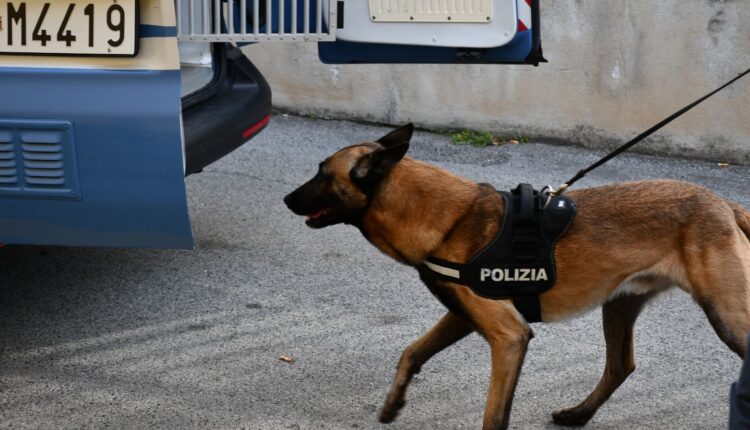 Sestri Ponente: trovato in possesso di 10 confezioni di cocaina e 4 involucri di cannabis. Arrestato 21enne