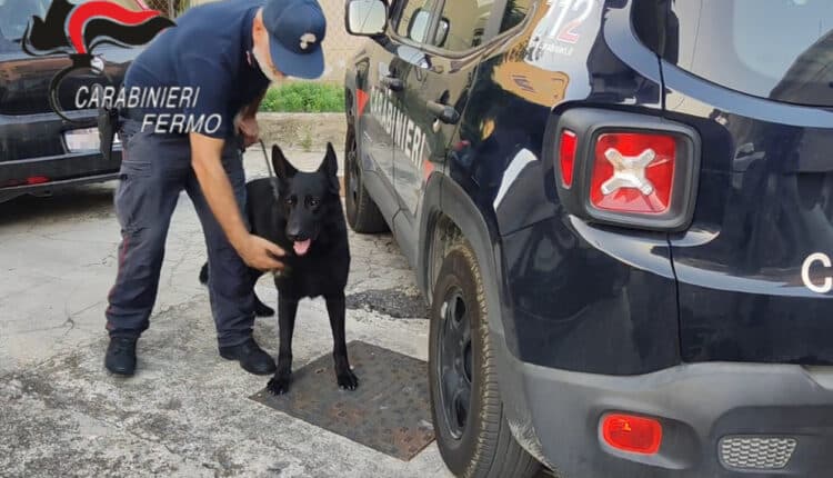 Fermo: operazione antidroga “Take Away”. Sequestrati circa 4 chili di cocaina e indagate 14 persone5