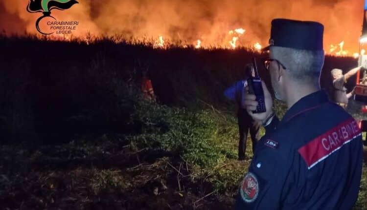 Lecce e Brindisi: l'Aeronautica Militare ha fornito ai Carabinieri sei nuovi esemplari di elicotteri grazie ai quali è possibile cogliere in flagranza di reato e arrestare gli incendiari 4