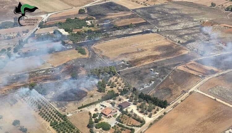 Lecce e Brindisi: l'Aeronautica Militare ha fornito ai Carabinieri sei nuovi esemplari di elicotteri grazie ai quali è possibile cogliere in flagranza di reato e arrestare gli incendiari 2