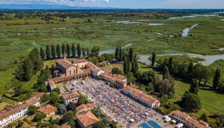 Grazie di Curtatone: 135 artisti di gessetto per celebrare il 50° Incontro Nazionale dei Madonnari5