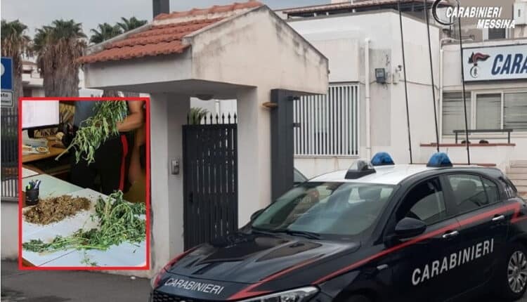 Messina: coltivava cannabis nel terreno di casa, 50enne arrestato dai Carabinieri.
