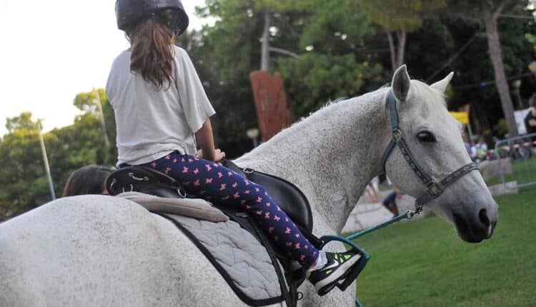 Pesaro: manca sempre meno a "La 1/2 Notte Bianca dei Bambini" 2024. Venerdì 30 e Sabato 31 sono state organizzate numerose attività a misura di bambino in giro per la città5