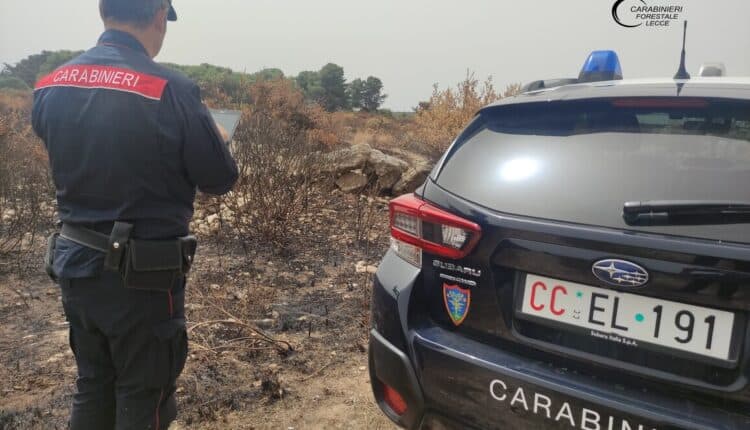Lecce e Brindisi: l'Aeronautica Militare ha fornito ai Carabinieri sei nuovi esemplari di elicotteri grazie ai quali è possibile cogliere in flagranza di reato e arrestare gli incendiari 3
