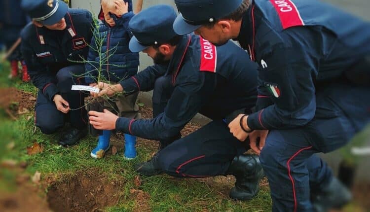 Fiumalbo: "Gli uomini che piantavano alberi" la mostra fotografica dedicata al lavoro di sistemazione del territorio e delle foreste